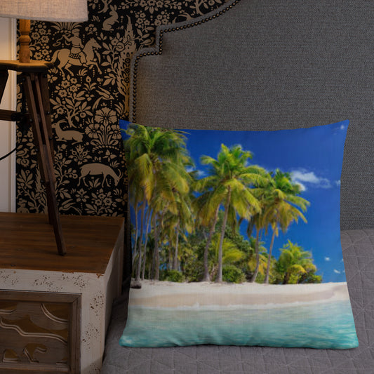 Premium Pillow (Best Premium Pillow - Scenic Ocean Shore View Model 0017)