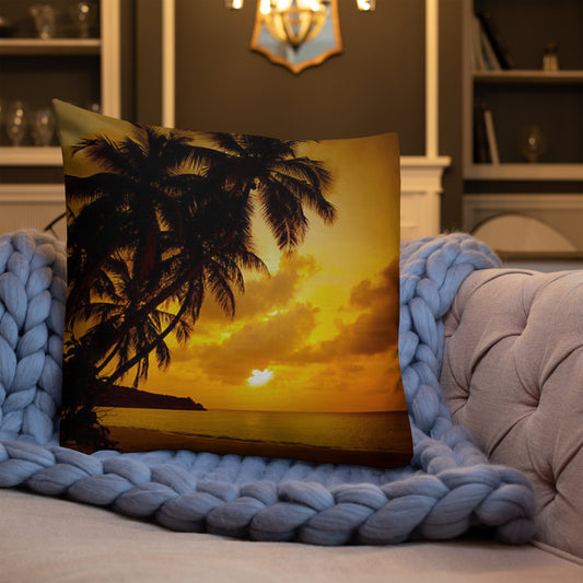 Premium Pillow (Best Premium Pillow - Scenic Ocean View Model 0016)