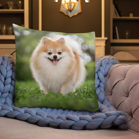 Premium Pillow (Best Premium Pillow - Pattern Model 0037)