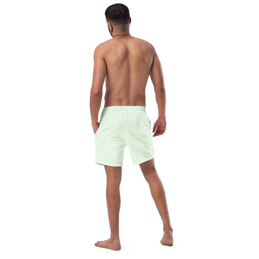 Men's Swim Trunks (Glamourange Mens Swim Trunks By Colours - 0012 Model)