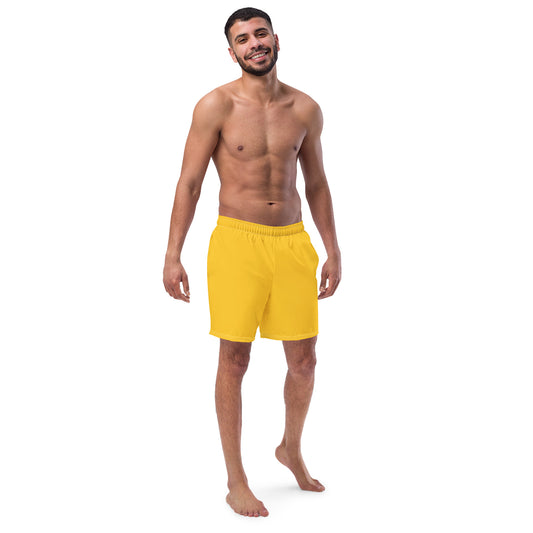 Men's Swim Trunks (Glamourange Mens Swim Trunks By Colours - 006 Model)