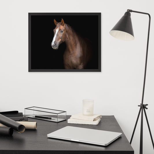 Framed Poster (Horse Wall Art Horizontal - Model 005)