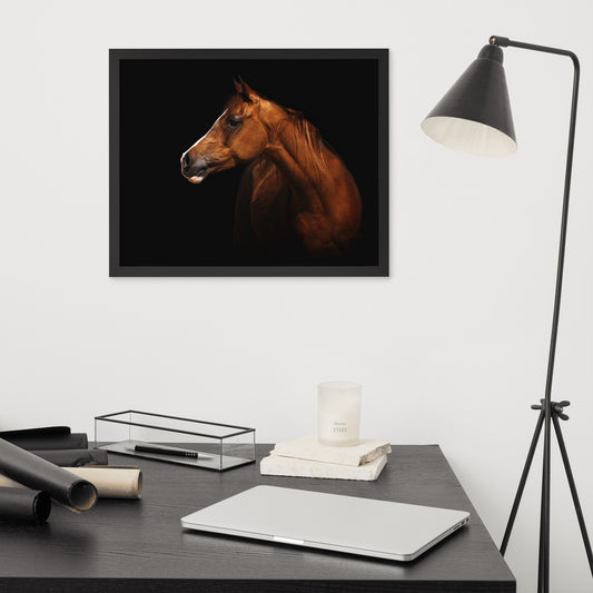 Framed Poster (Horse Wall Art Horizontal - Model 006)