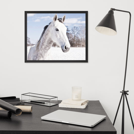 Framed Poster (Horse Wall Art Horizontal - Model 009)