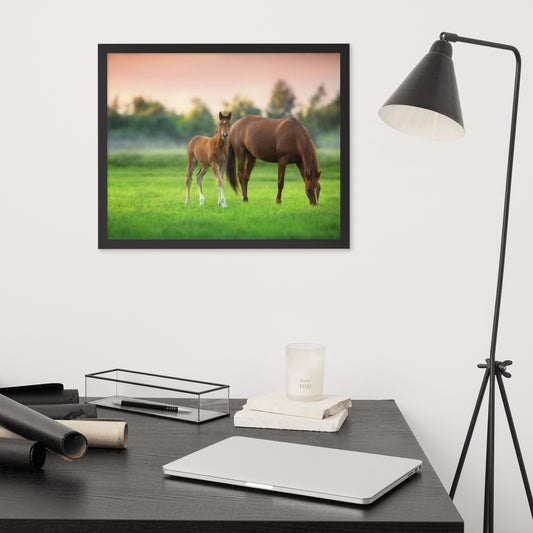 Framed Poster (Horse Wall Art Horizontal - Model 0017)
