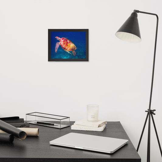 Scenic Nature View Framed Poster Wall Art (Horizontal Model 0019)