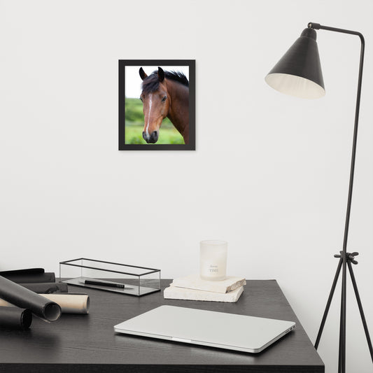 Framed Poster Horse Wall Art - Vertical Print (Glamourange 0017 Model)