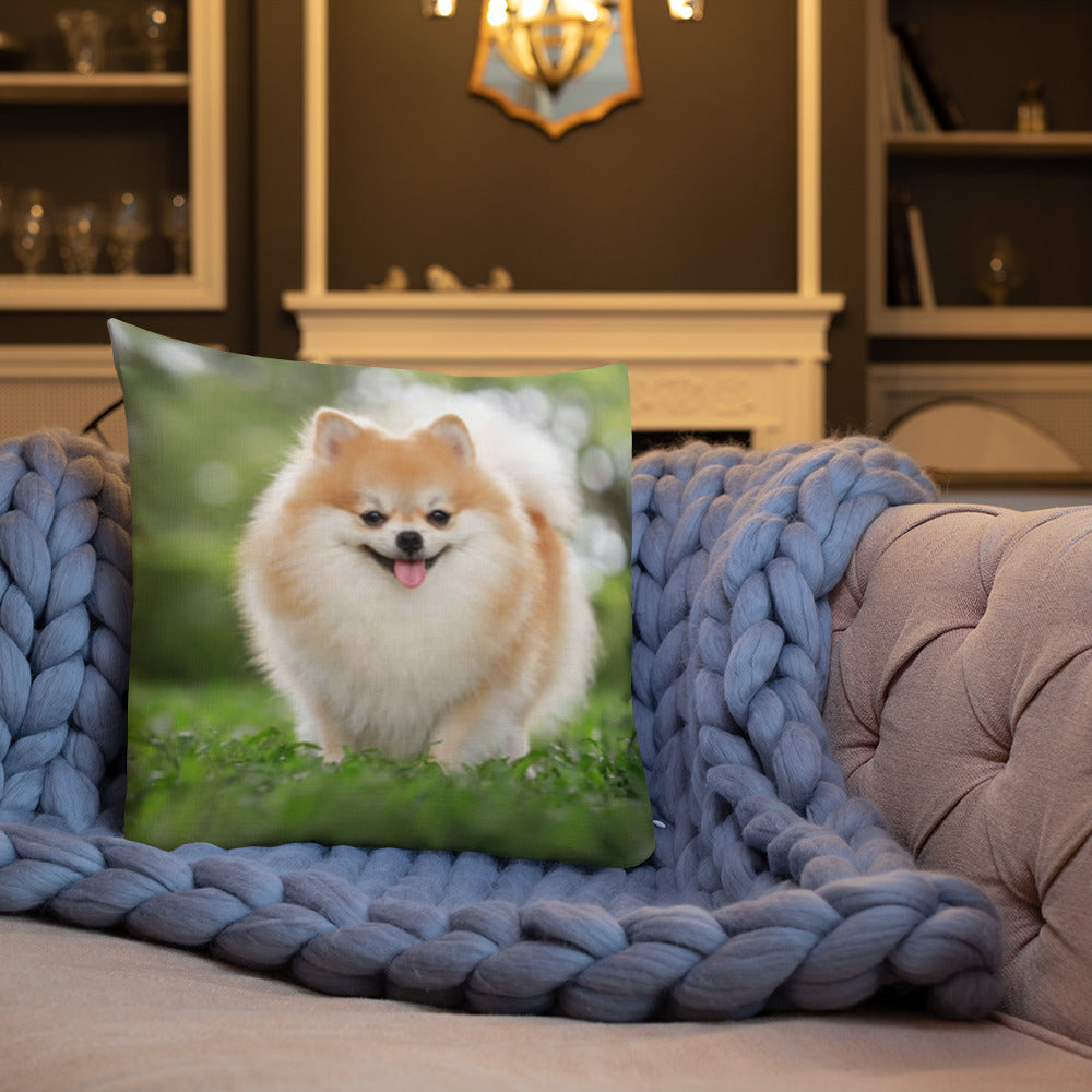 Premium Pillow (Best Premium Pillow - Pattern Model 0037)