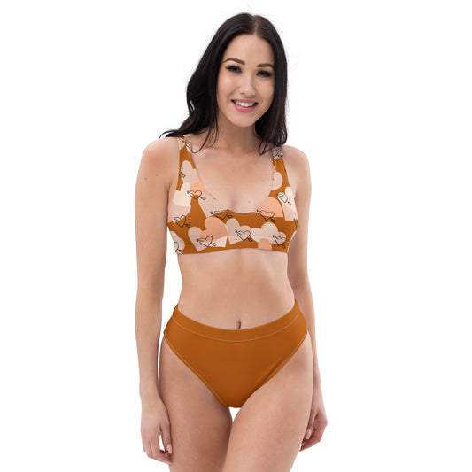 High Waisted Bikini Womens Mix and Match Patterns and Solid Colours (Glamourange 0011 Model)