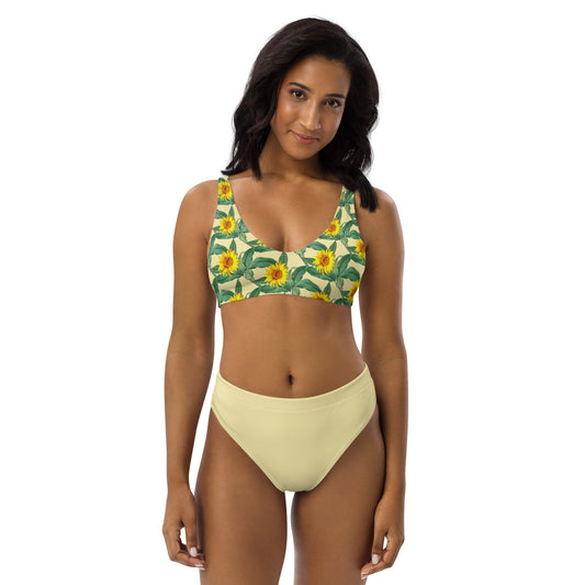 High Waisted Bikini Womens Mix and Match Patterns and Solid Colours (Glamourange 0012 Model)