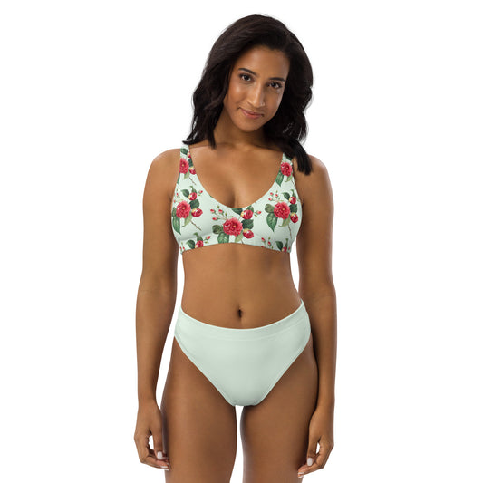 High Waisted Bikini Womens Mix and Match Patterns and Solid Colours (Glamourange 0018 Model)