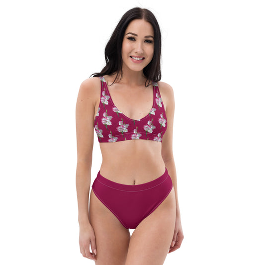 High Waisted Bikini Womens Mix and Match Patterns and Solid Colours (Glamourange 0019 Model)