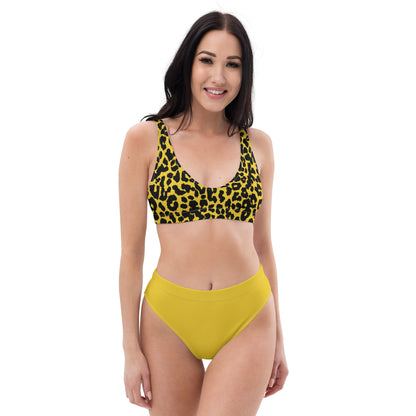 High Waisted Bikini Womens Mix and Match Patterns and Solid Colours (Glamourange 0033 Model)