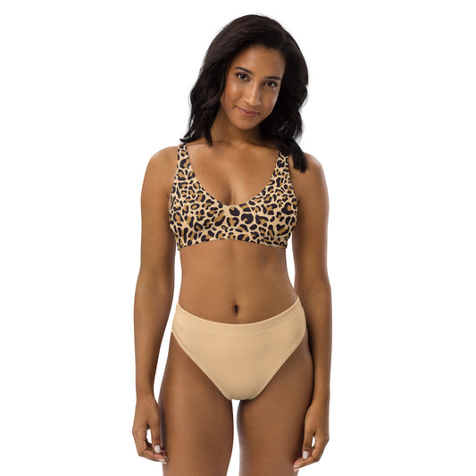 High Waisted Bikini Womens Mix and Match Patterns and Solid Colours (Glamourange 0034 Model)