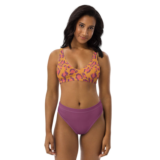 High Waisted Bikini Womens Mix and Match Patterns and Solid Colours (Glamourange 0036 Model)