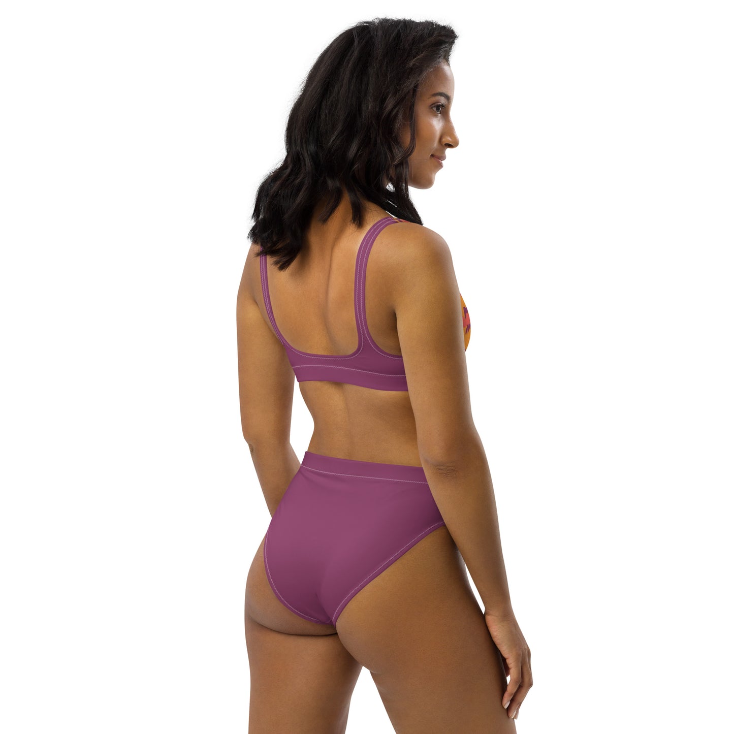 High Waisted Bikini Womens Mix and Match Patterns and Solid Colours (Glamourange 0036 Model)