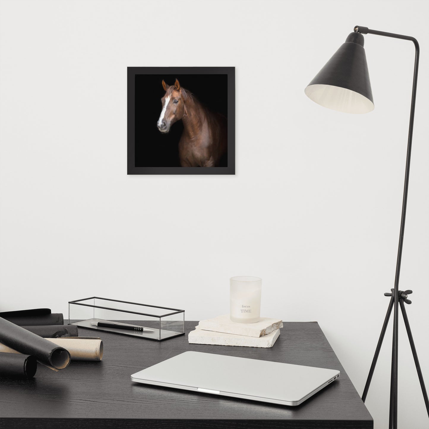 Framed Poster (Horse Wall Art Horizontal - Model 005)