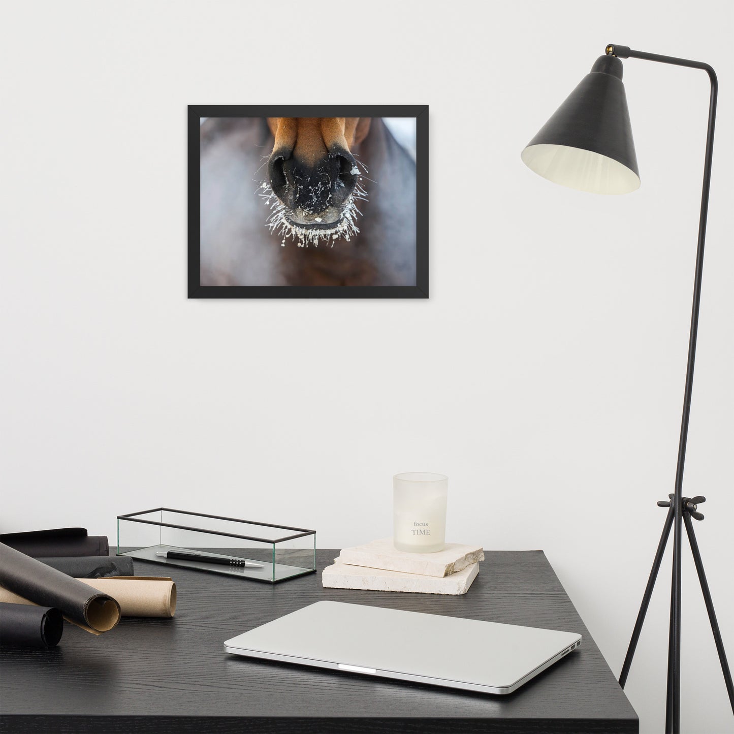 Framed Poster (Horse Wall Art Horizontal - Model 0014)