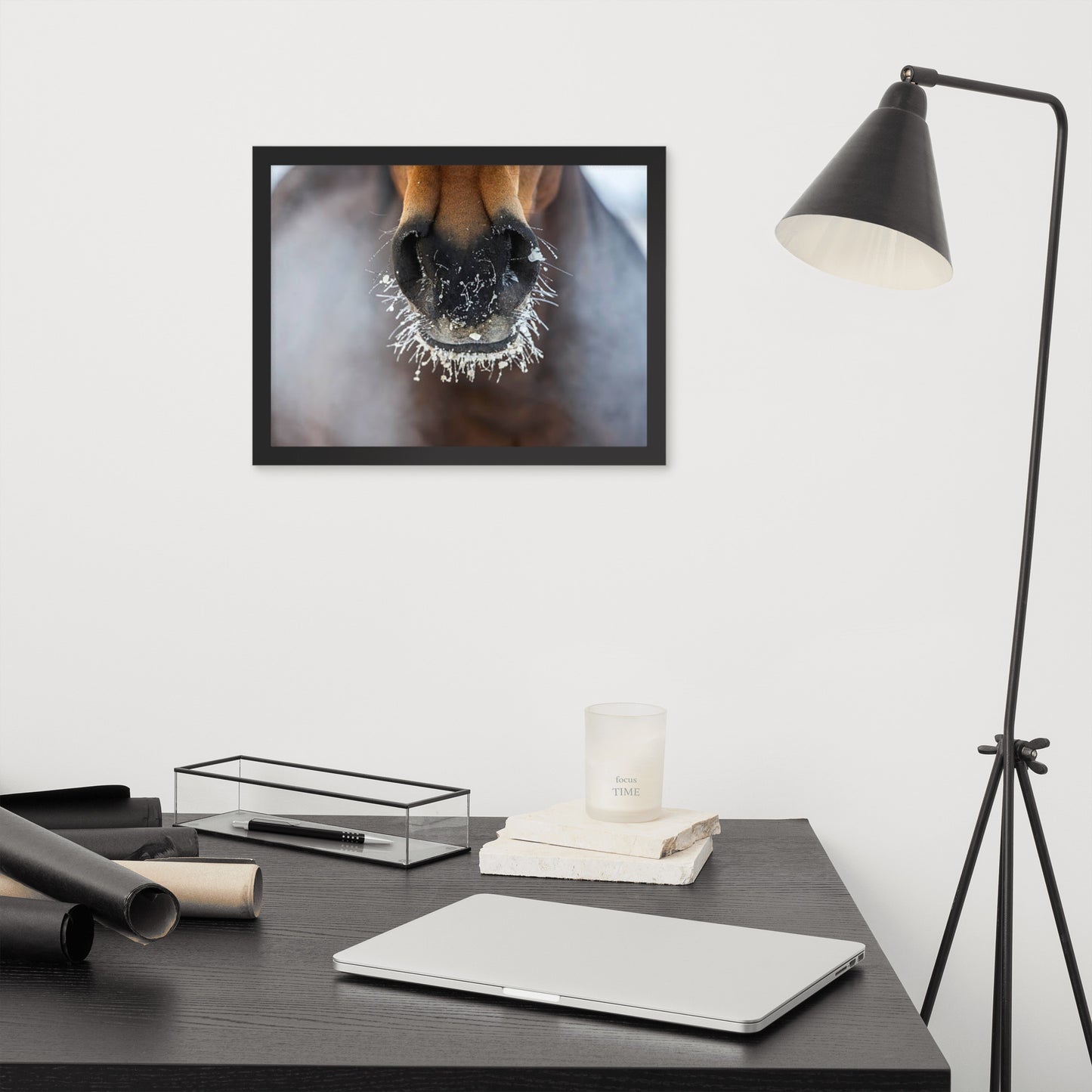 Framed Poster (Horse Wall Art Horizontal - Model 0014)