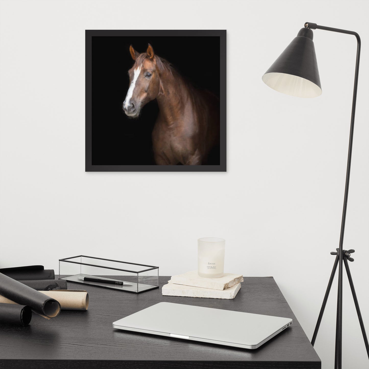 Framed Poster (Horse Wall Art Horizontal - Model 005)