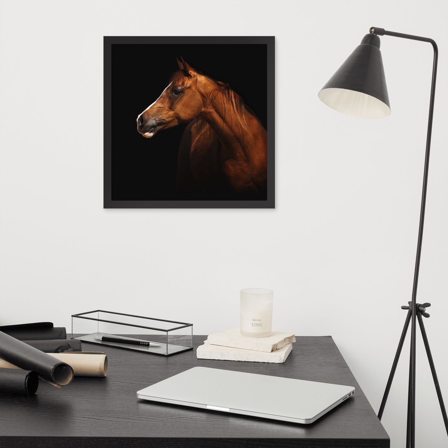 Framed Poster (Horse Wall Art Horizontal - Model 006)