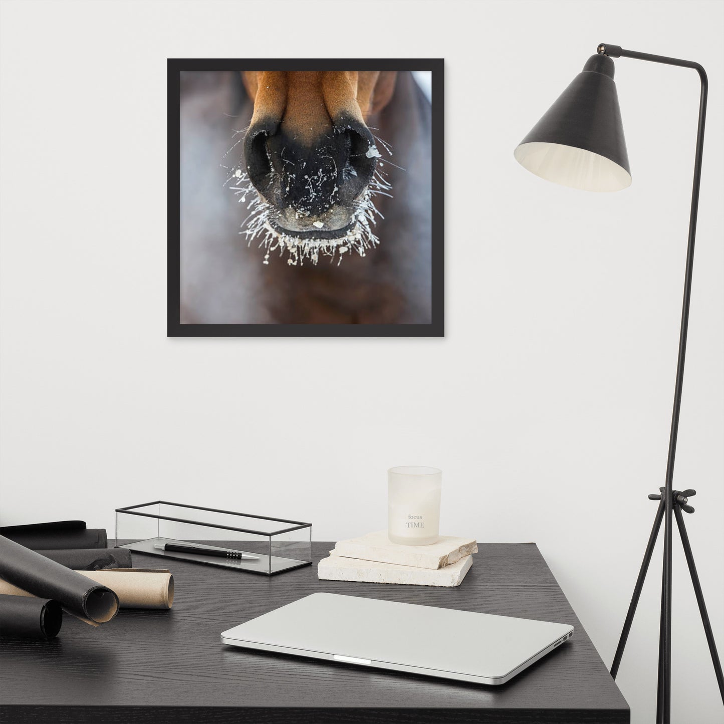 Framed Poster (Horse Wall Art Horizontal - Model 0014)