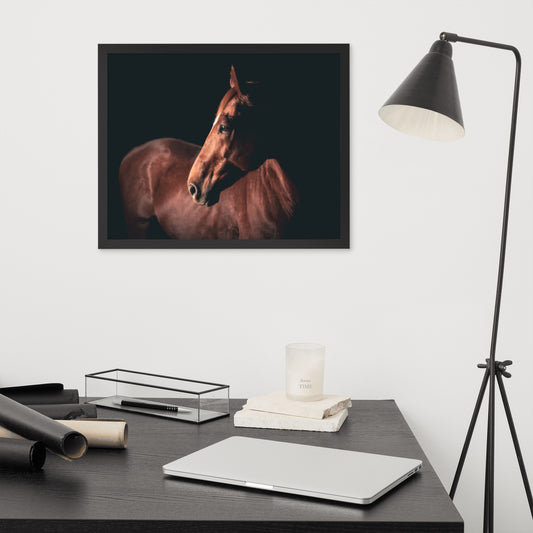 Framed Poster (Horse Wall Art Horizontal - Model 0018)