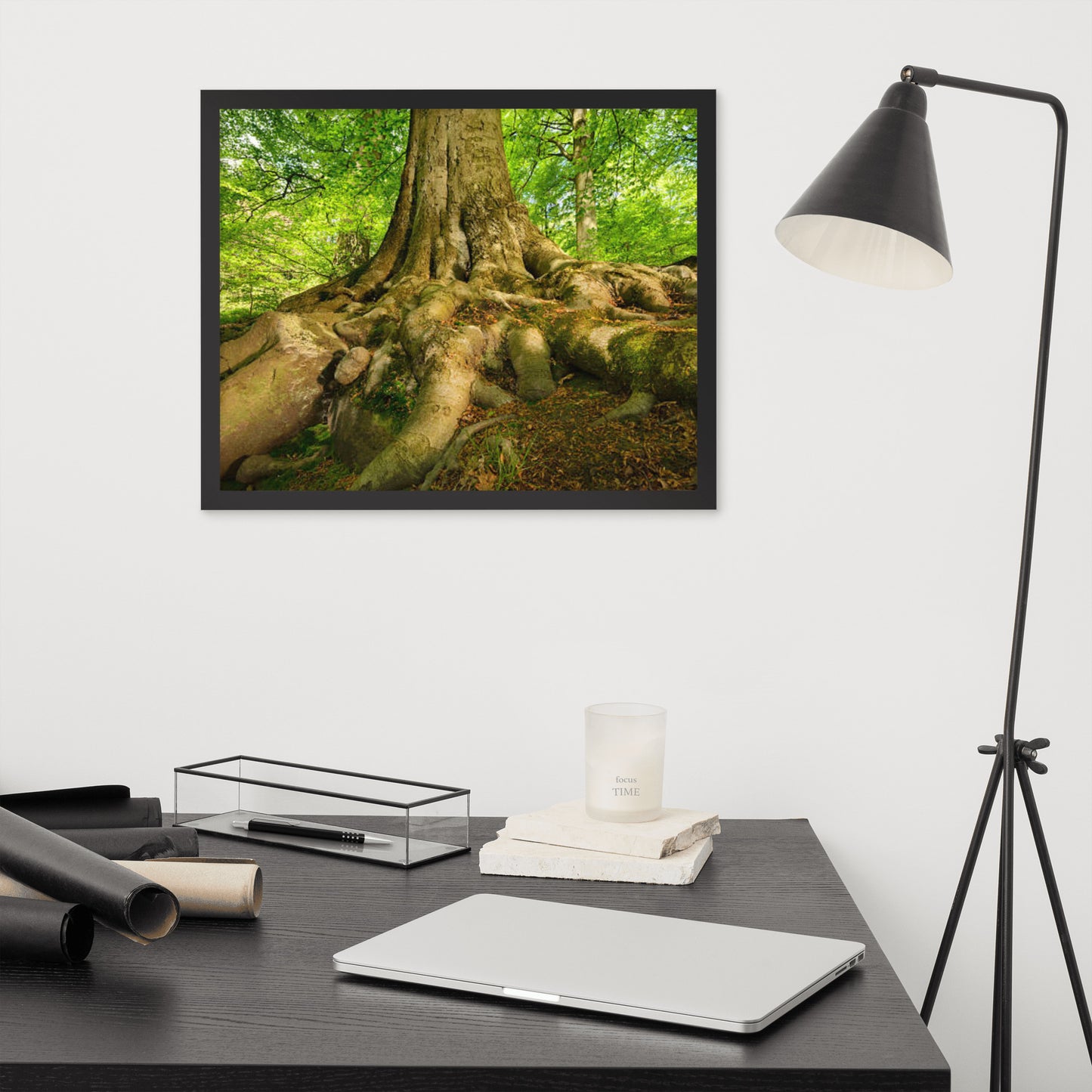 Scenic Nature View Framed Poster Wall Art (Horizontal Model 002)