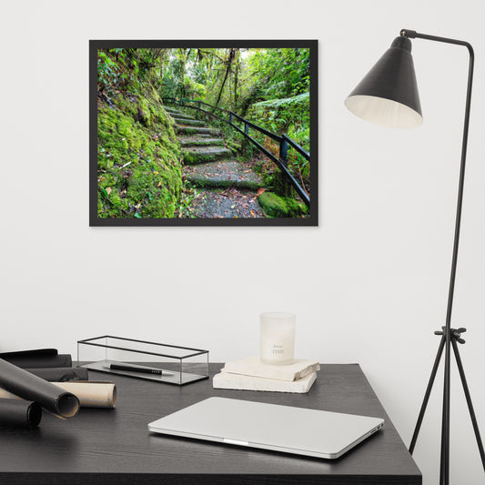 Scenic Nature View Framed Poster Wall Art (Horizontal Model 007)