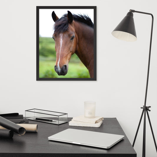 Framed Poster Horse Wall Art - Vertical Print (Glamourange 0017 Model)