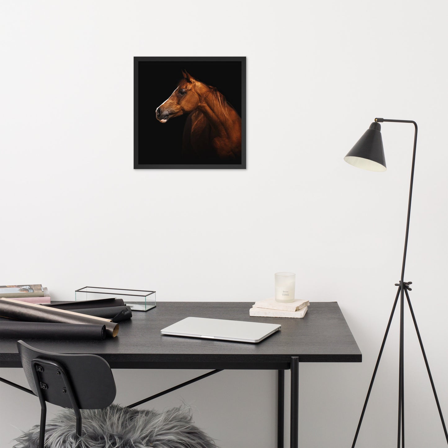 Framed Poster (Horse Wall Art Horizontal - Model 006)