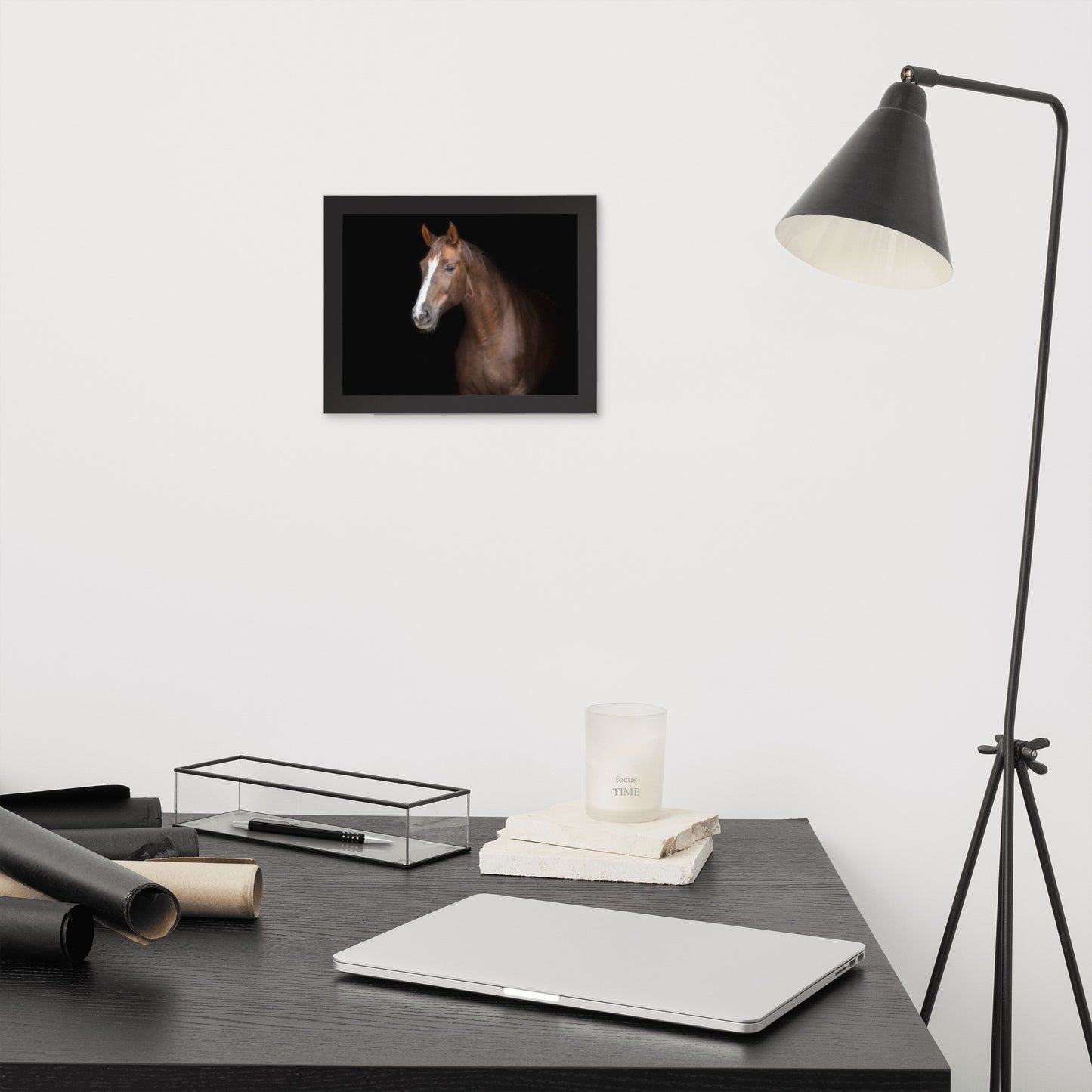 Framed Poster (Horse Wall Art Horizontal - Model 005)