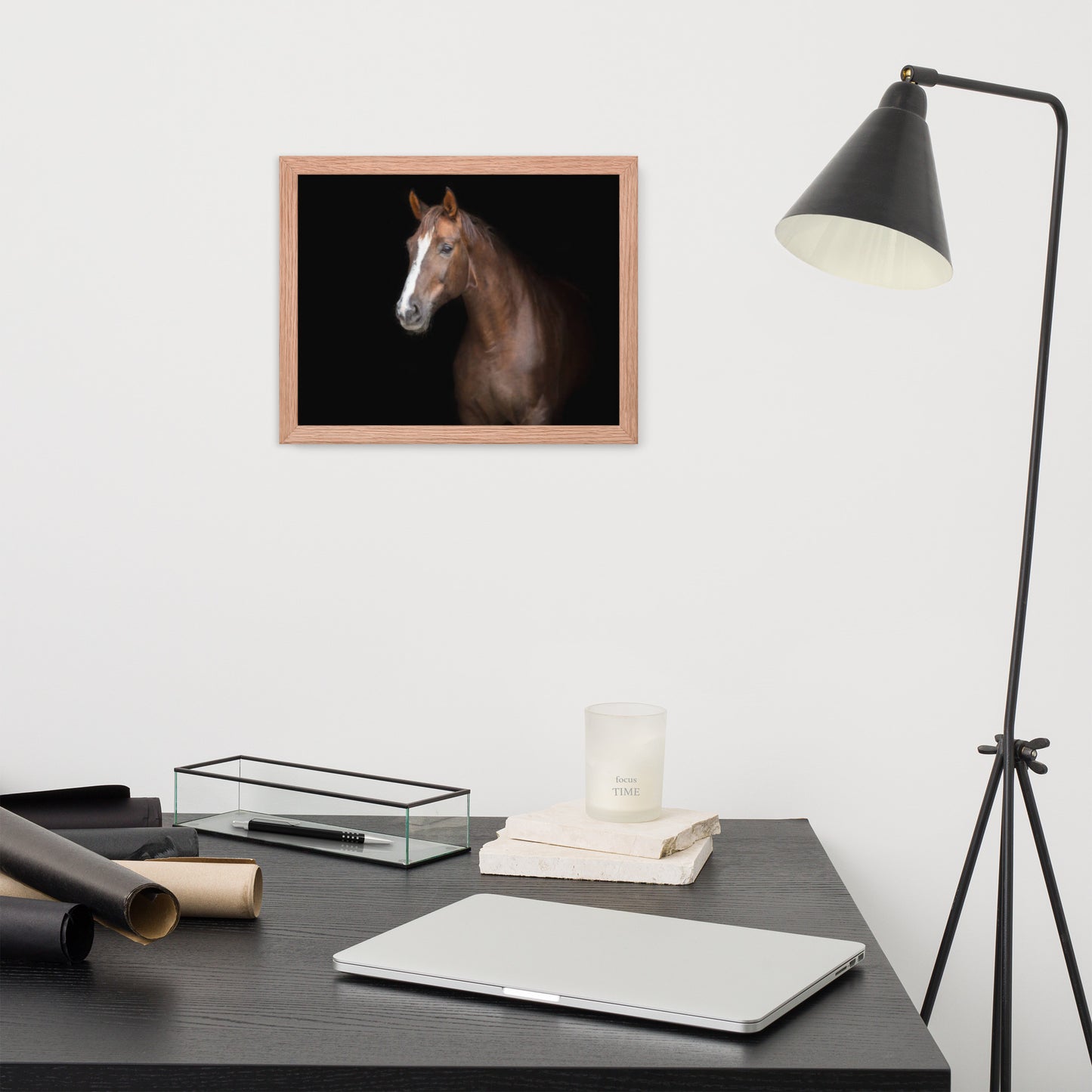 Framed Poster (Horse Wall Art Horizontal - Model 005)