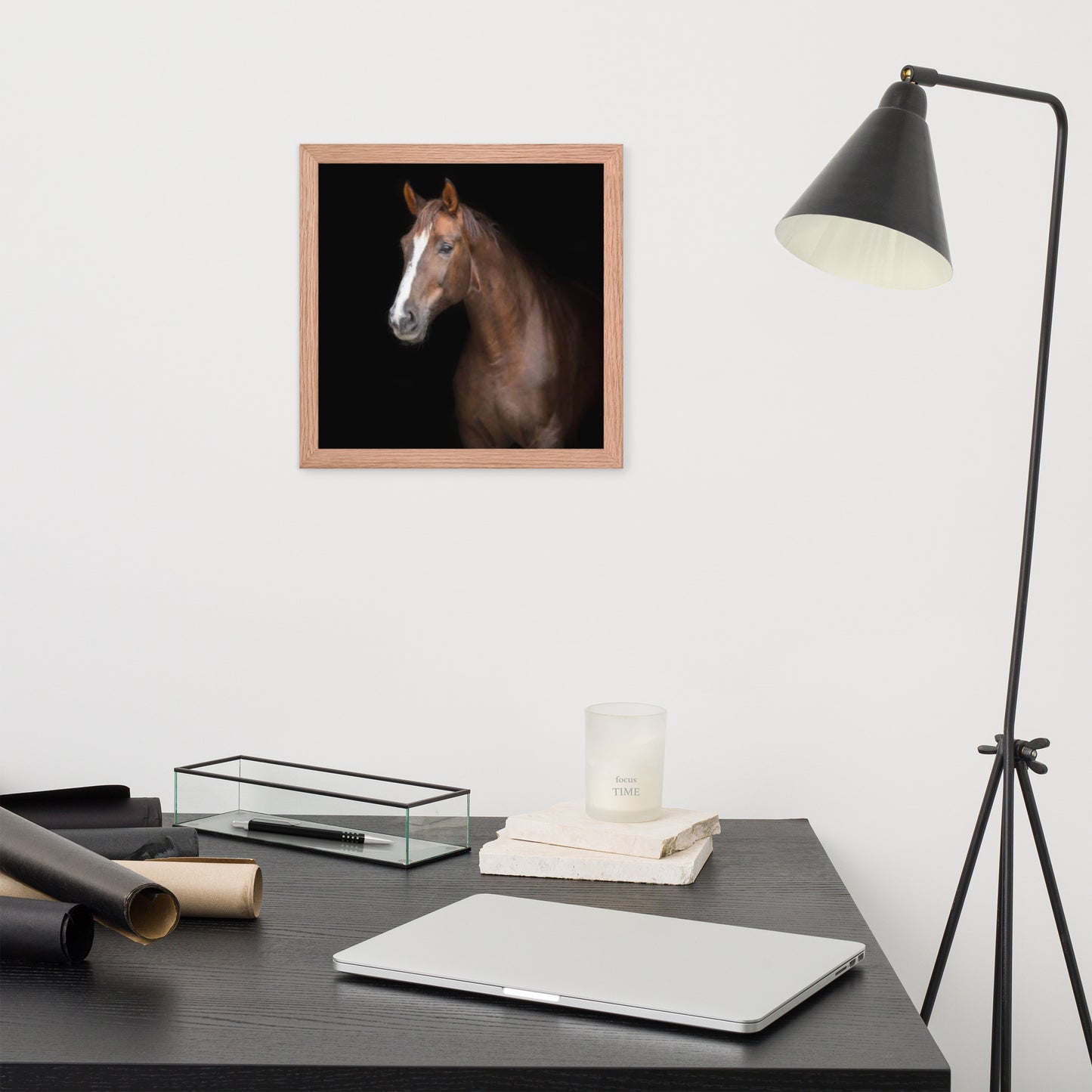 Framed Poster (Horse Wall Art Horizontal - Model 005)