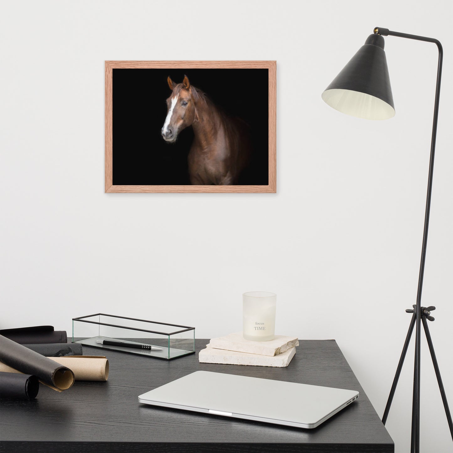 Framed Poster (Horse Wall Art Horizontal - Model 005)