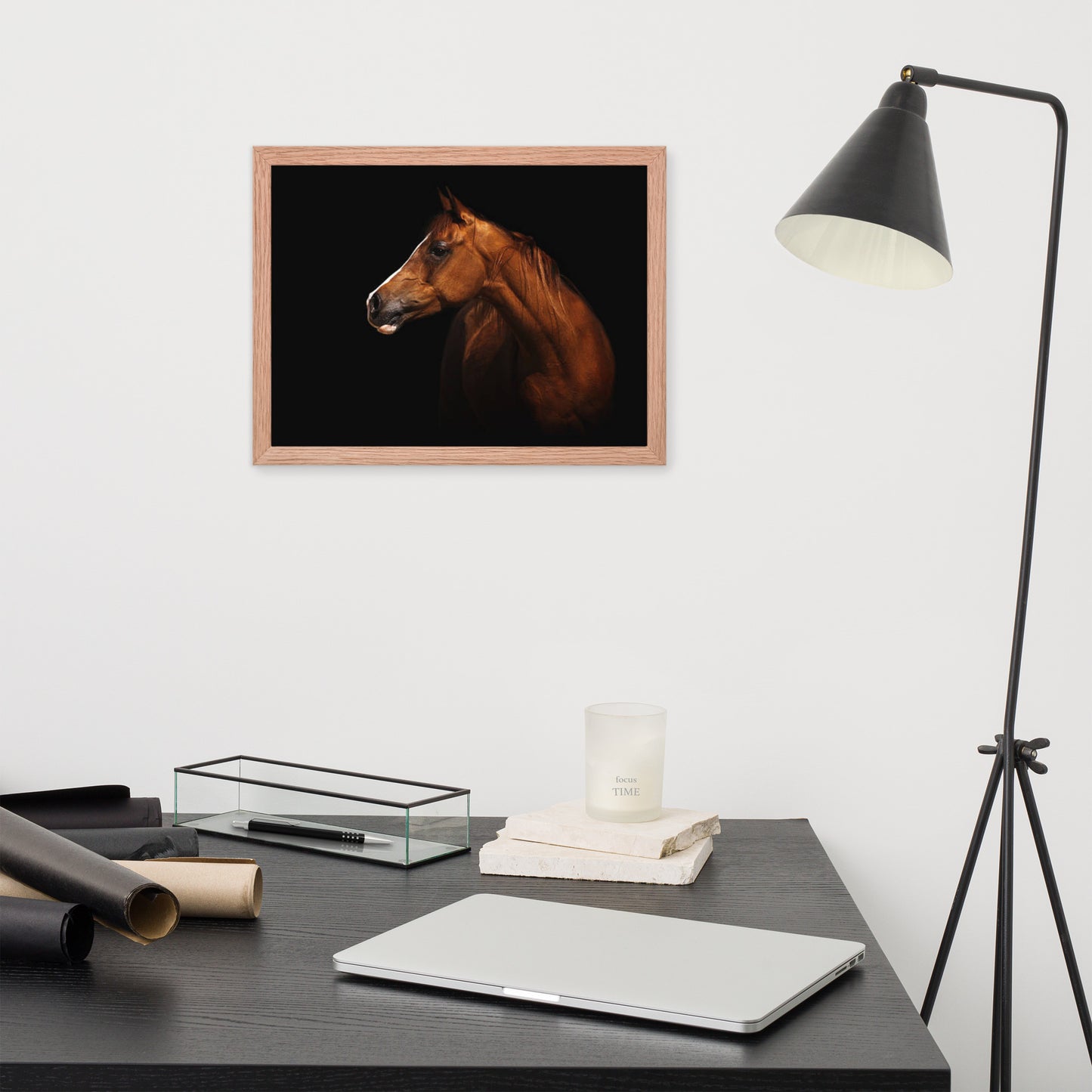 Framed Poster (Horse Wall Art Horizontal - Model 006)