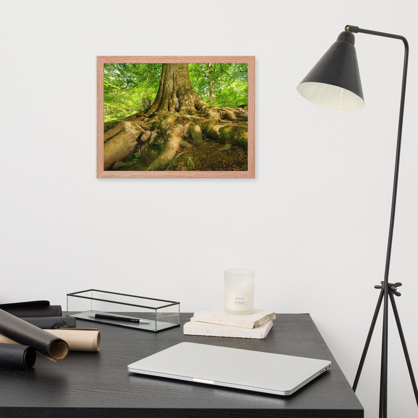 Scenic Nature View Framed Poster Wall Art (Horizontal Model 002)