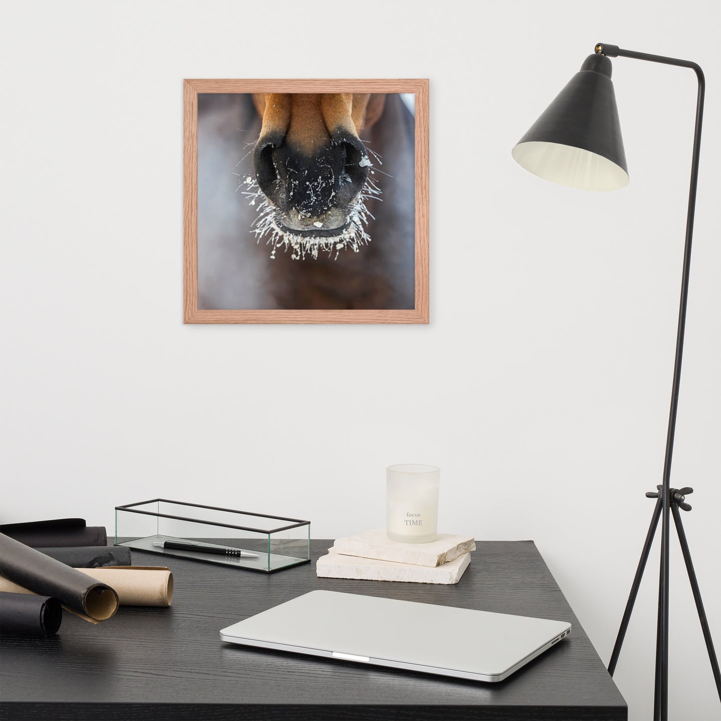 Framed Poster (Horse Wall Art Horizontal - Model 0014)