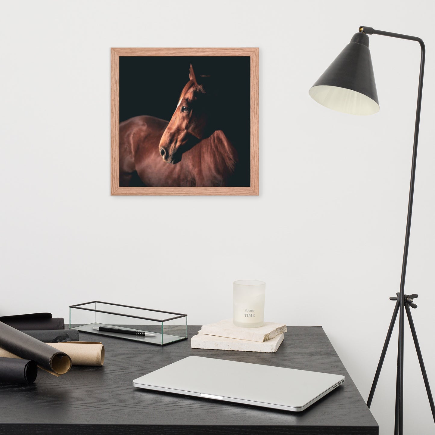 Framed Poster (Horse Wall Art Horizontal - Model 0018)