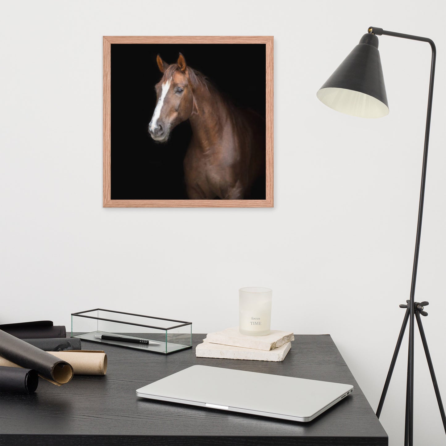 Framed Poster (Horse Wall Art Horizontal - Model 005)