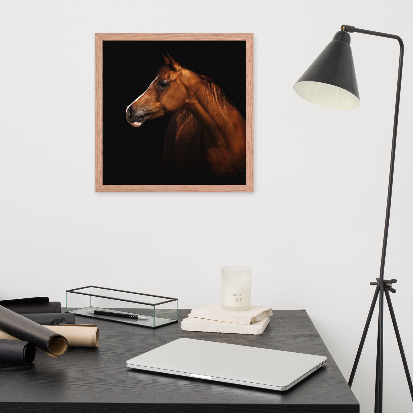 Framed Poster (Horse Wall Art Horizontal - Model 006)