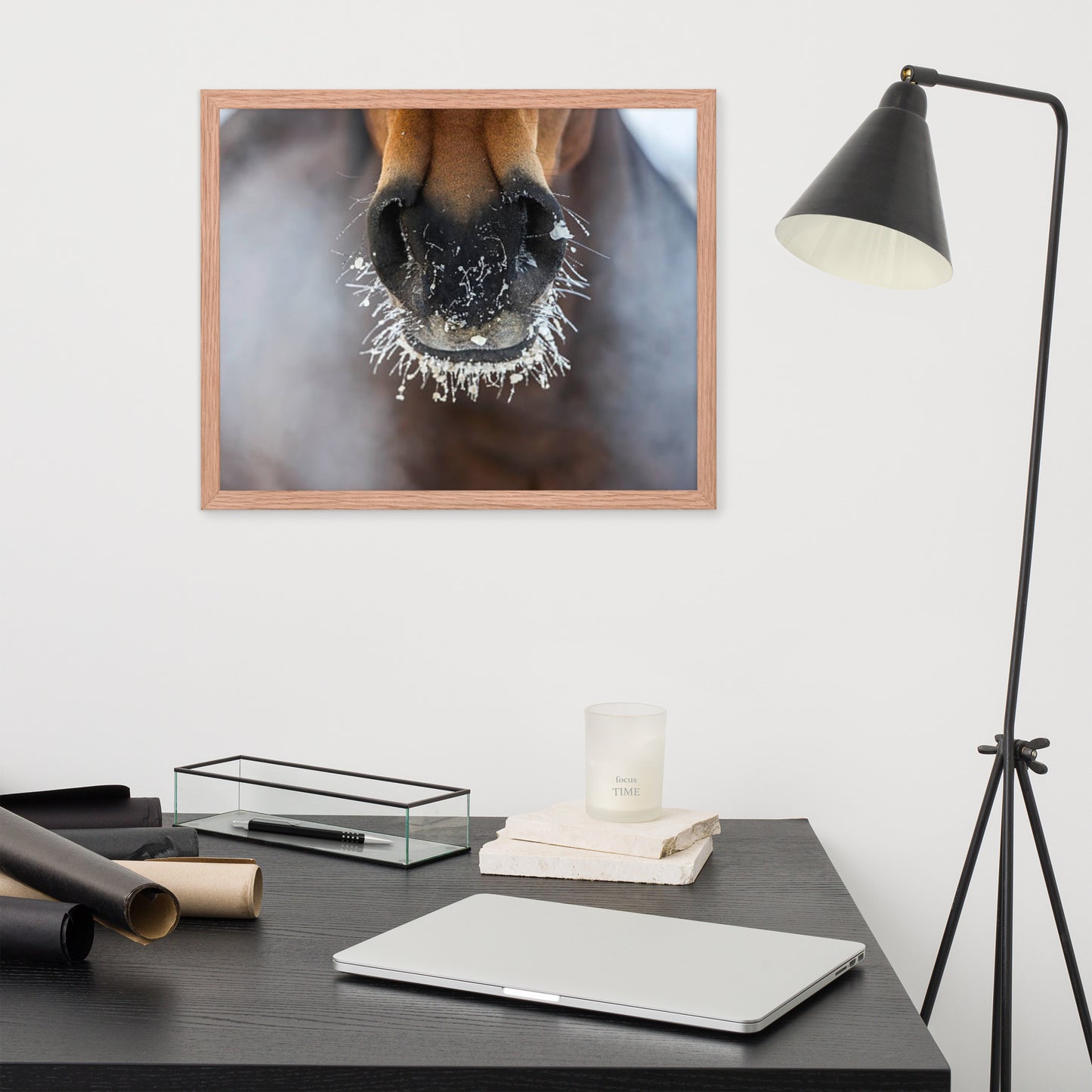 Framed Poster (Horse Wall Art Horizontal - Model 0014)