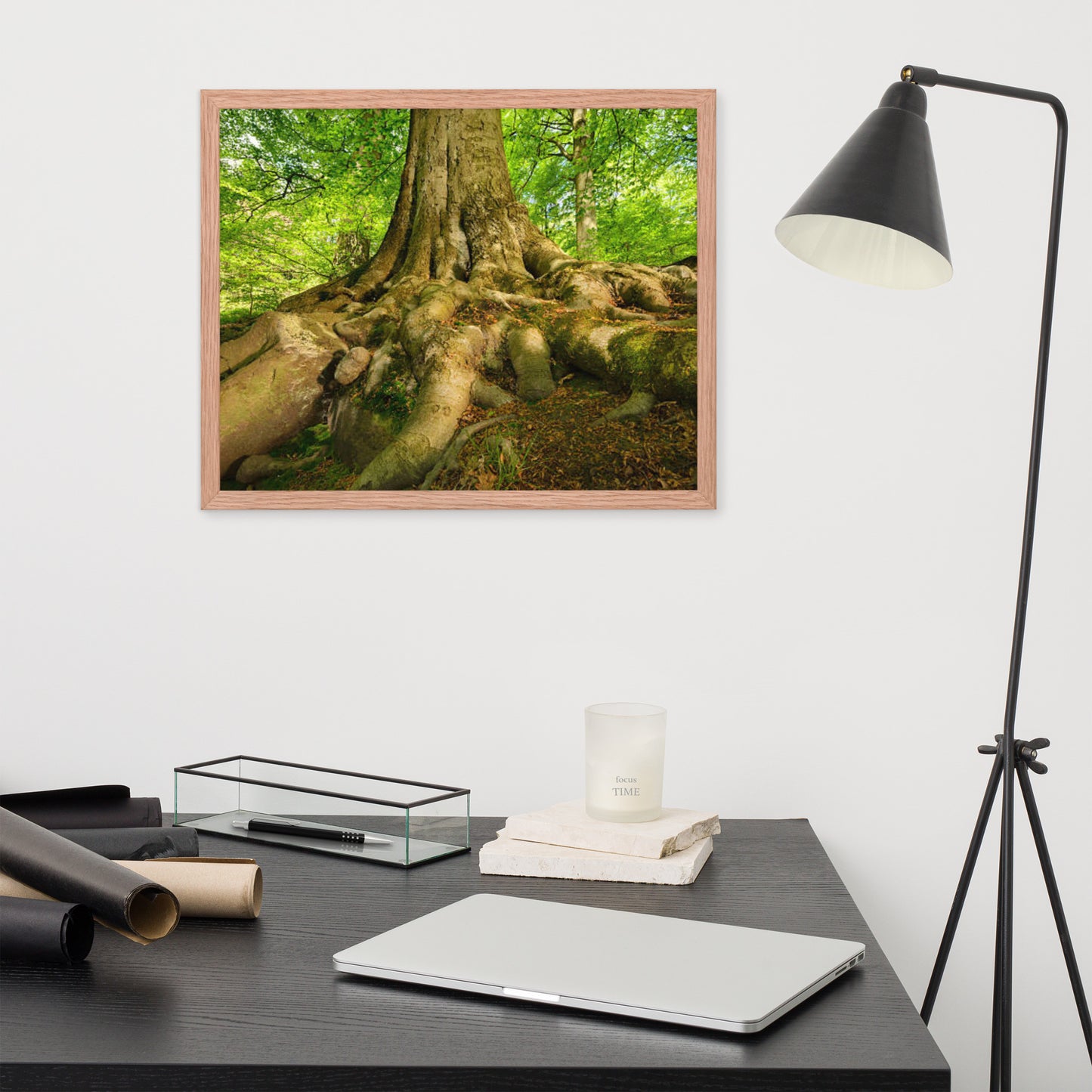 Scenic Nature View Framed Poster Wall Art (Horizontal Model 002)