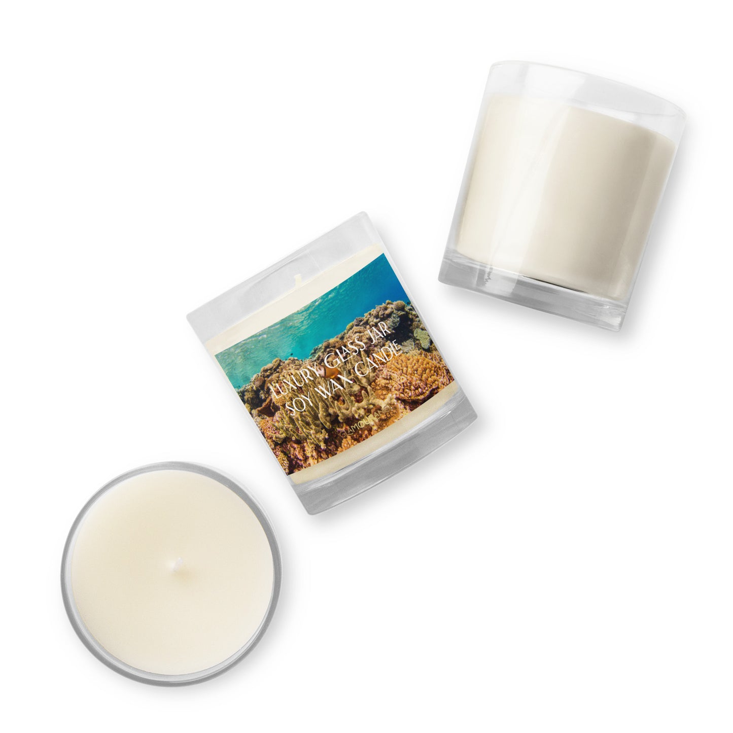 Glass Jar Soy Wax Candle (Underground Scenic Sea Life - Nature Label 0034)