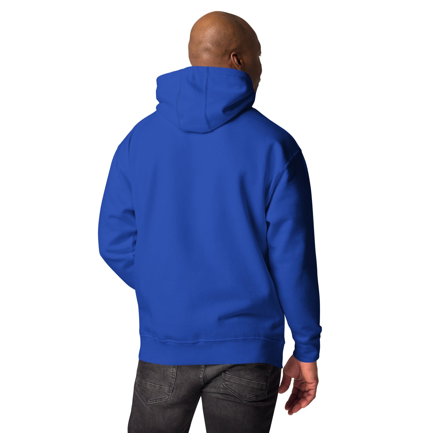 Hoodie Mens Designer (Hoodies Mens - Motivation 0029)